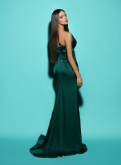 Picture of GREEN BLAKE DRESS