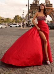 Picture of RED PARISA DRESS